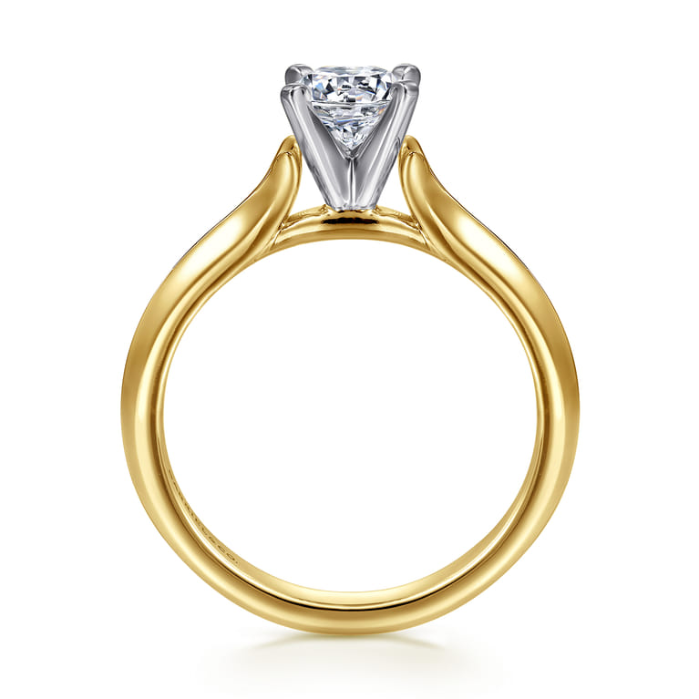 Ellis - 14K White-Yellow Gold Round Diamond Engagement Ring - Shot 2