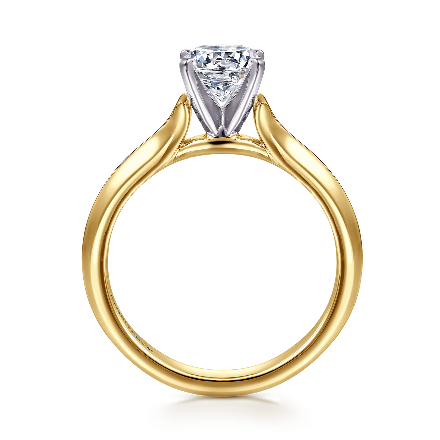 Ellis - 14K White-Yellow Gold Round Diamond Engagement Ring - Shot 2