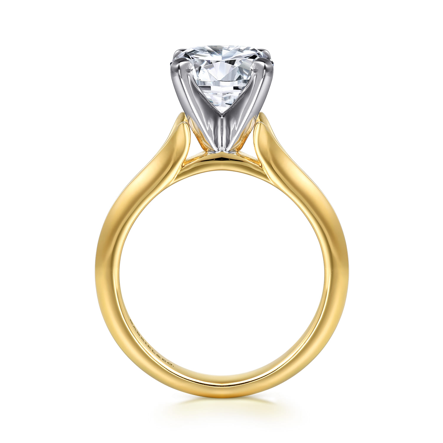Ellis - 14K White-Yellow Gold Round Diamond Engagement Ring - Shot 2