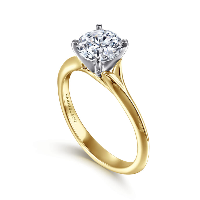 Ellis - 14K White-Yellow Gold Round Diamond Engagement Ring - Shot 3