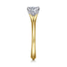 Ellis - 14K White-Yellow Gold Round Diamond Engagement Ring