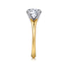 Ellis - 14K White-Yellow Gold Round Diamond Engagement Ring