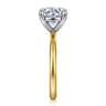 Lark - 14K White-Yellow Gold Round Solitaire Diamond Engagement Ring