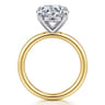 Lark - 14K White-Yellow Gold Round Solitaire Diamond Engagement Ring