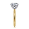 Lark - 14K White-Yellow Gold Round Solitaire Diamond Engagement Ring