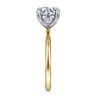 Tiana - 14K Yellow-White Gold Round Solitaire Diamond Engagement Ring