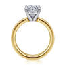 Aura - 14K White-Yellow Gold Round Solitaire Diamond Engagement Ring