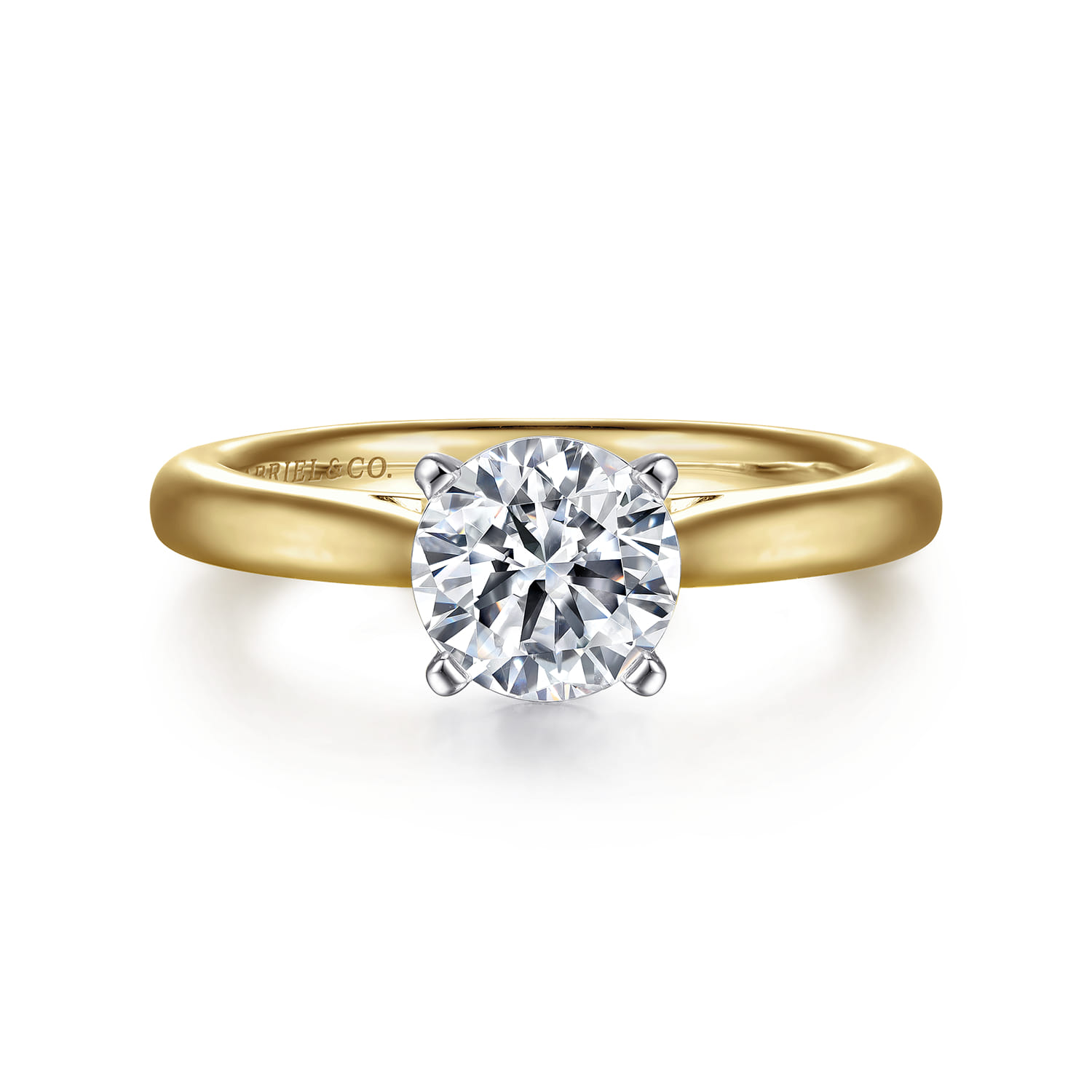 Michelle - 14K White-Yellow Gold Round Diamond Engagement Ring - Shot 1