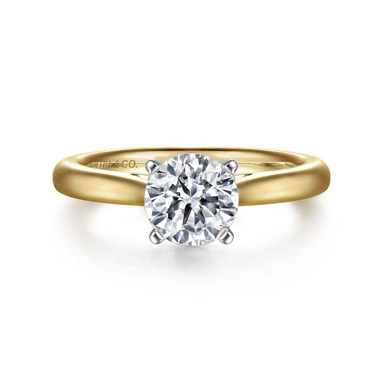 Michelle - 14K White-Yellow Gold Round Diamond Engagement Ring - Shot 1