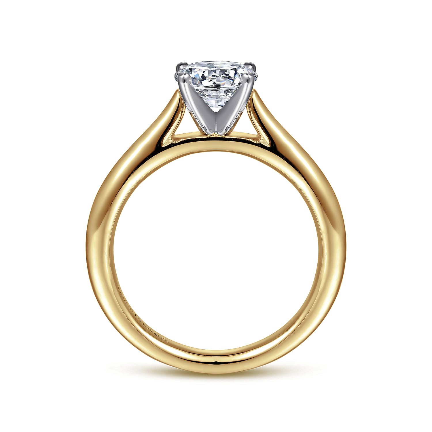 Michelle - 14K White-Yellow Gold Round Diamond Engagement Ring - Shot 2
