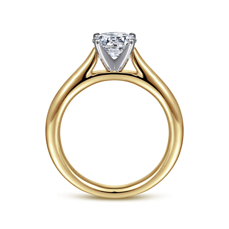 Michelle - 14K White-Yellow Gold Round Diamond Engagement Ring - Shot 2