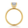 Cari - 18K Yellow Gold Emerald Cut Diamond Engagement Ring - 0.06 ct