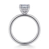 Cari - Platinum Emerald Cut Diamond Engagement Ring - 0.06 ct