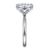 Lark - Platinum Oval Solitaire Engagement Ring