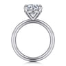Lark - Platinum Round Solitaire Engagement Ring