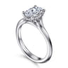 Alden - 14K White Gold Split Shank Oval Diamond Engagement Ring - 0.05 ct