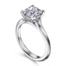 Alden - 14K White Gold Split Shank Princess Cut Diamond Engagement Ring - 0.05 ct