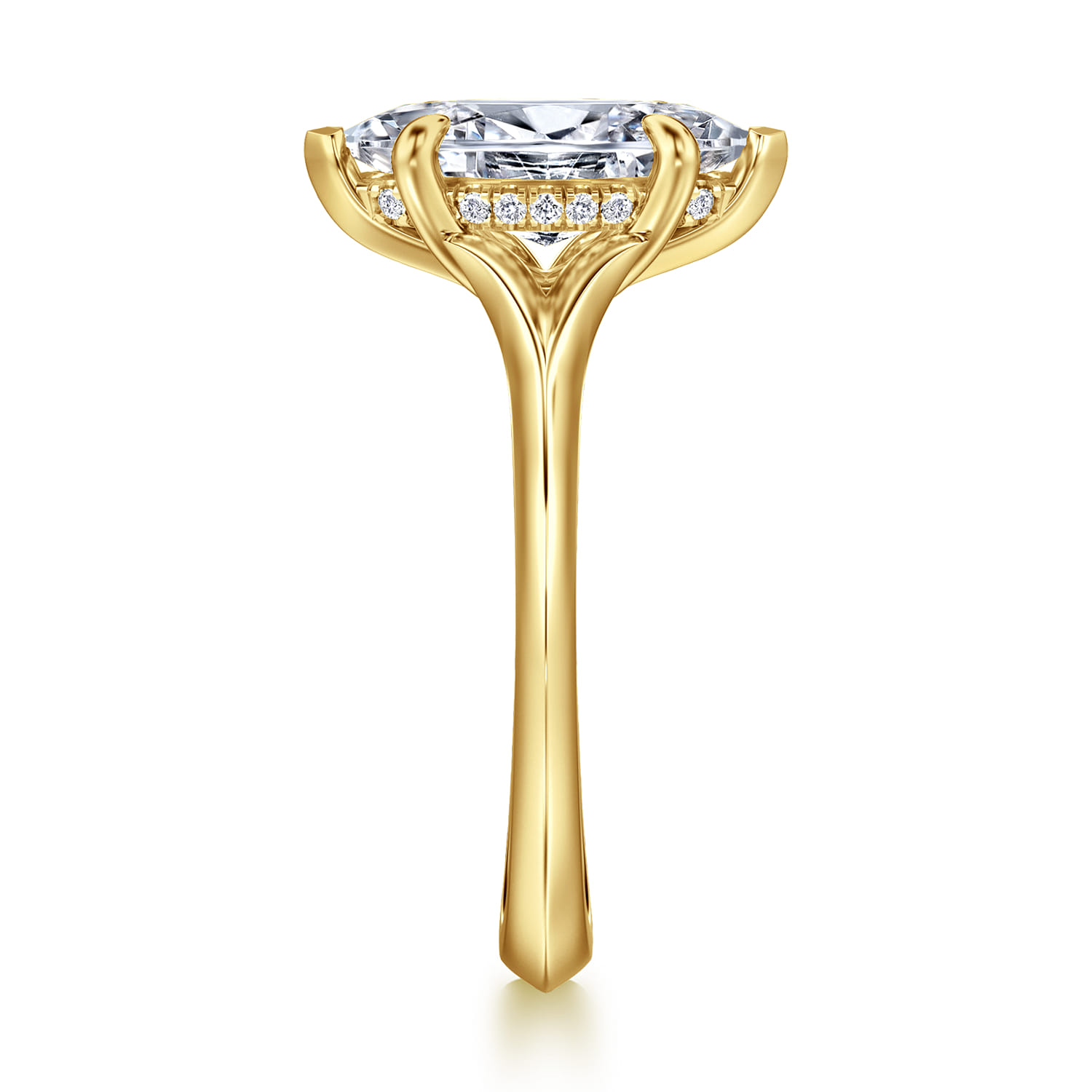 Alden - 14K Yellow Gold Split Shank Oval Diamond Engagement Ring - 0.05 ct - Shot 5