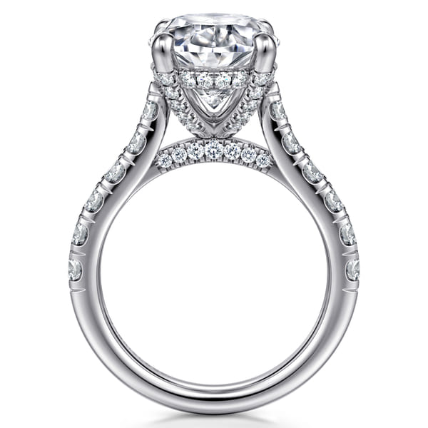 Aryna Sabalenka Engagement Ring