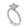 Perry - 14K White Gold Princess Cut Diamond Engagement Ring - 0.3 ct