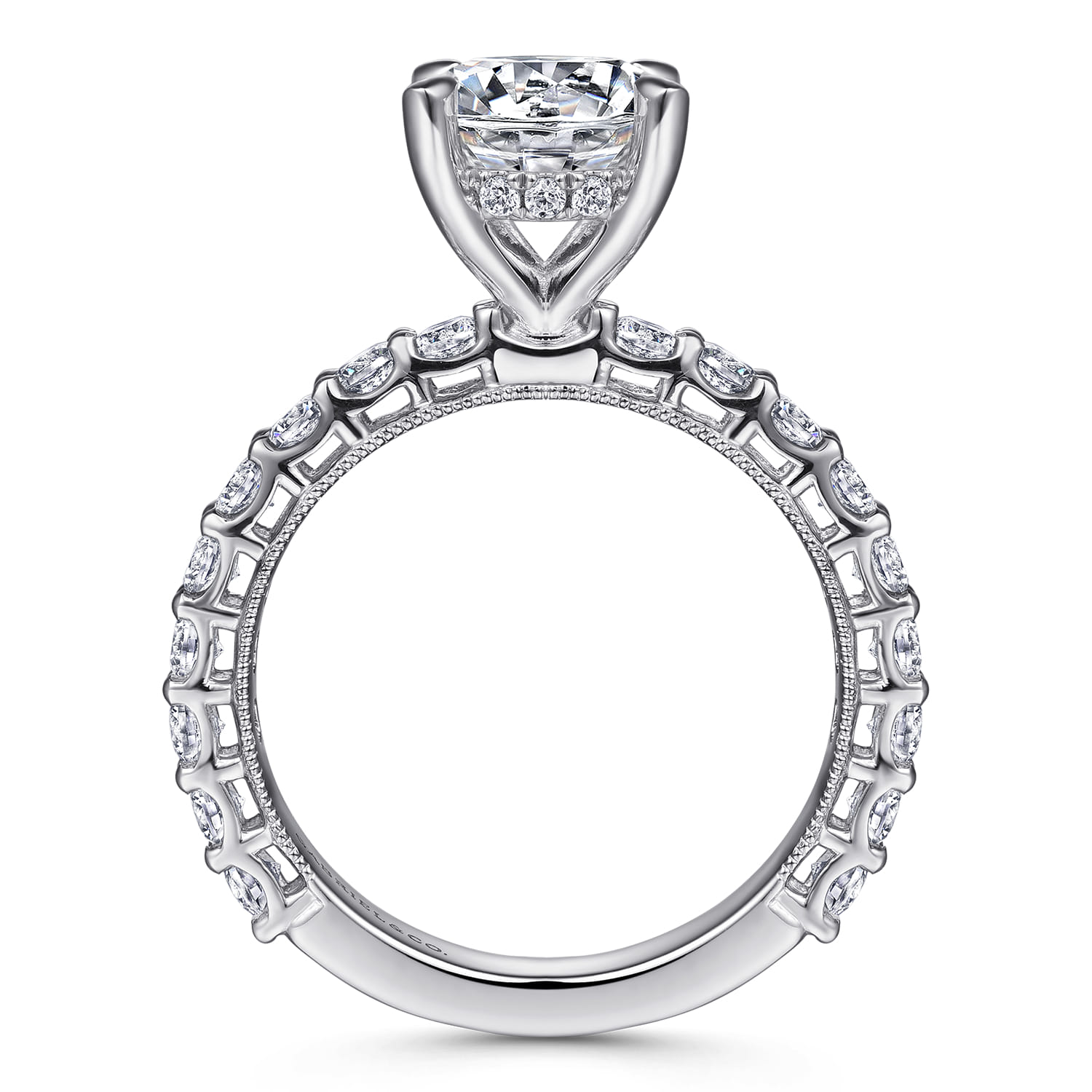 Yareli - 14K White Gold Diamond Engagement Ring - 1 ct - Shot 2