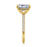 Twain - 14K Yellow Gold Emerald Cut Diamond Engagement Ring - 0.2 ct
