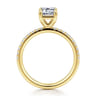 Twain - 14K Yellow Gold Emerald Cut Diamond Engagement Ring - 0.2 ct