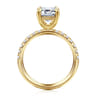Winslow - 14K Yellow Gold Emerald Cut Diamond Engagement Ring - 0.38 ct