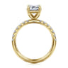 Winslow - 14K Yellow Gold Emerald Cut Diamond Engagement Ring - 0.35 ct