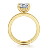 Carolie - 14K Yellow Gold Emerald Cut Diamond Engagement Ring - 0.7 ct