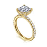 Amira - 14K Yellow Gold Princess Cut Diamond Engagement Ring - 0.52 ct