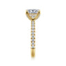 Amira - 14K Yellow Gold Princess Cut Diamond Engagement Ring - 0.52 ct