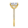 Twain - 14K Yellow Gold Emerald Cut Diamond Engagement Ring - 0.2 ct