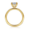 Amena - 14K Yellow Gold Round Diamond Engagement Ring - 0.14 ct