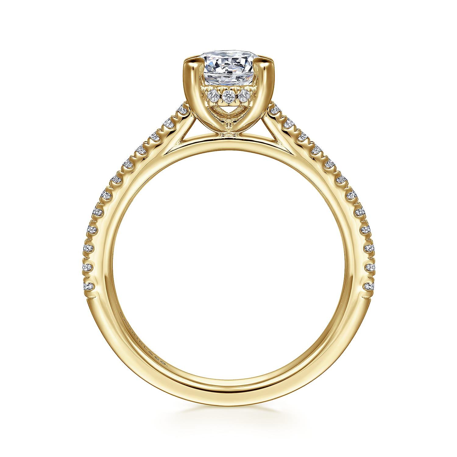 Aline - 14K Yellow Gold Round Diamond Engagement Ring - 0.25 ct - Shot 2