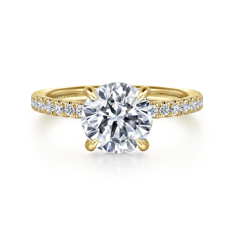 Alisa - 14K Yellow Gold Round Diamond Engagement Ring - 0.5 ct - Shot 1