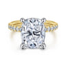 Winslow - 14K White-Yellow Gold Elongated Cushion Diamond Engagement Ring - 0.35 ct