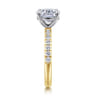 Winslow - 14K White-Yellow Gold Elongated Cushion Diamond Engagement Ring - 0.35 ct