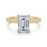 Amata - 14K White and Yellow Gold Emerald Cut Diamond Engagement Ring - 0.14 ct