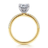 Amata - 14K White and Yellow Gold Emerald Cut Diamond Engagement Ring - 0.14 ct