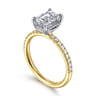 Stasia - 14K White-Yellow Gold Emerald Cut Diamond Engagement Ring - 0.3 ct
