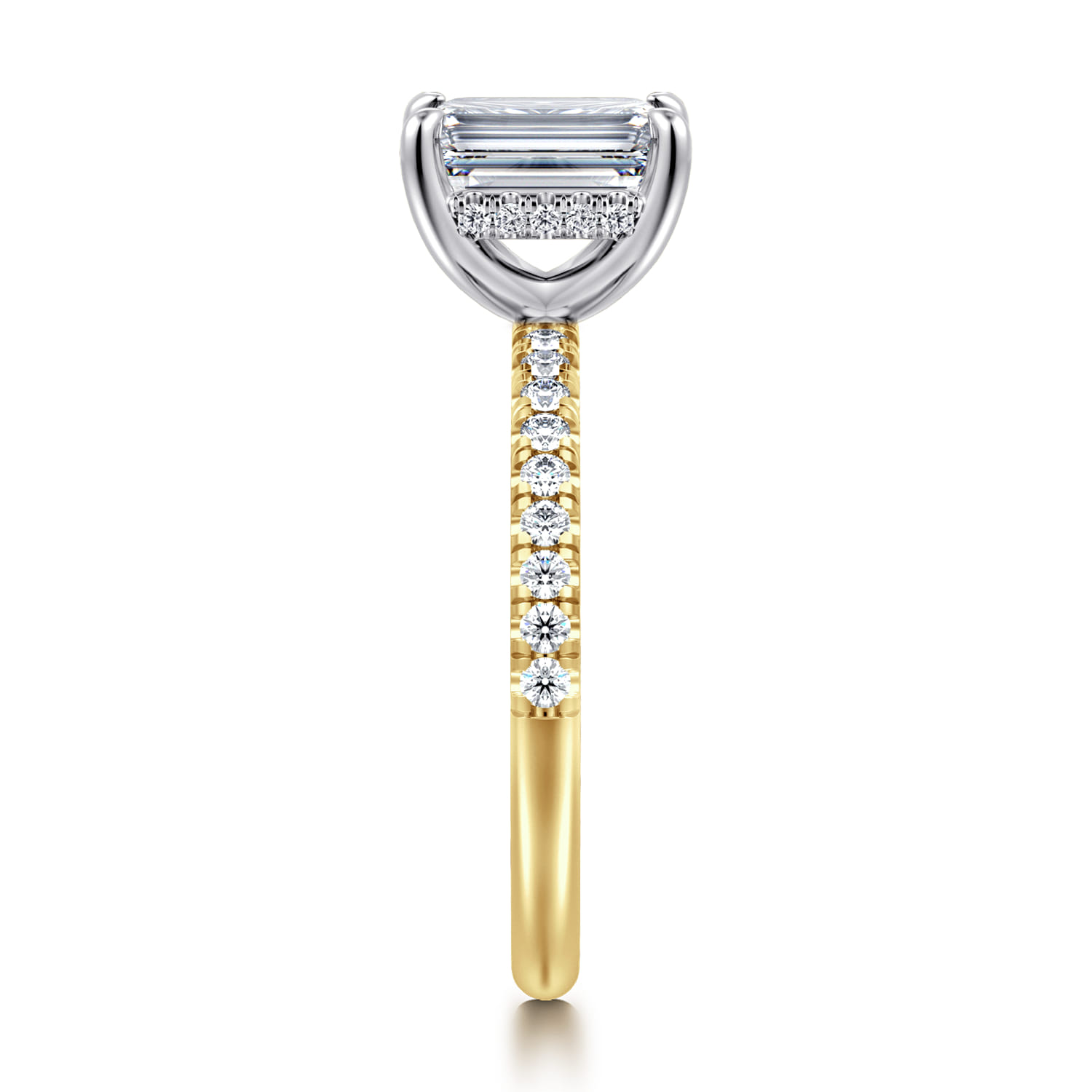 Stasia - 14K White-Yellow Gold Emerald Cut Diamond Engagement Ring - 0.3 ct - Shot 4