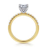 Carmellia - 14K White-Yellow Gold Emerald Cut Diamond Engagement Ring - 0.25 ct