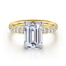 Winslow - 14K White-Yellow Gold Emerald Cut Diamond Engagement Ring - 0.35 ct