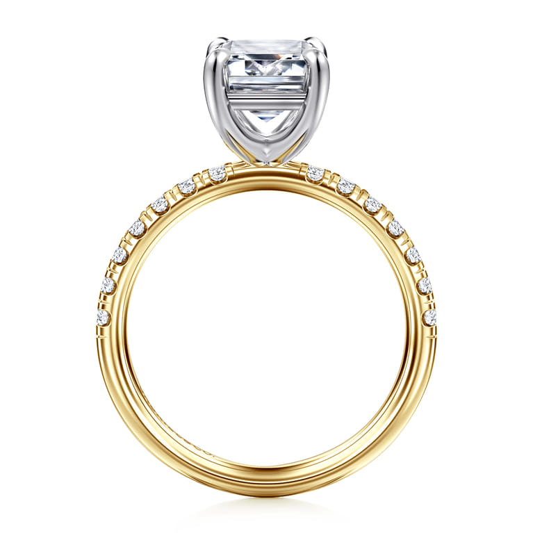 Winslow - 14K White-Yellow Gold Emerald Cut Diamond Engagement Ring - 0.35 ct - Shot 2