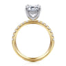 Winslow - 14K White-Yellow Gold Emerald Cut Diamond Engagement Ring - 0.35 ct