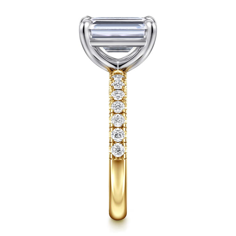 Winslow - 14K White-Yellow Gold Emerald Cut Diamond Engagement Ring - 0.35 ct - Shot 5