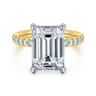 Winslow - 14K White-Yellow Gold Emerald Cut Diamond Engagement Ring - 0.35 ct