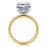 Winslow - 14K White-Yellow Gold Emerald Cut Diamond Engagement Ring - 0.35 ct