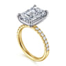 Winslow - 14K White-Yellow Gold Emerald Cut Diamond Engagement Ring - 0.35 ct